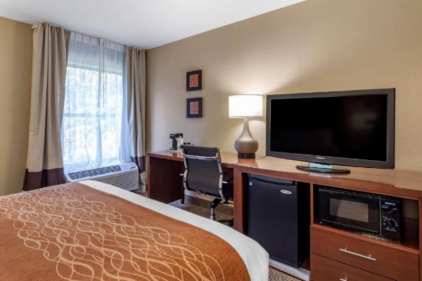Comfort Inn Biltmore West image 12